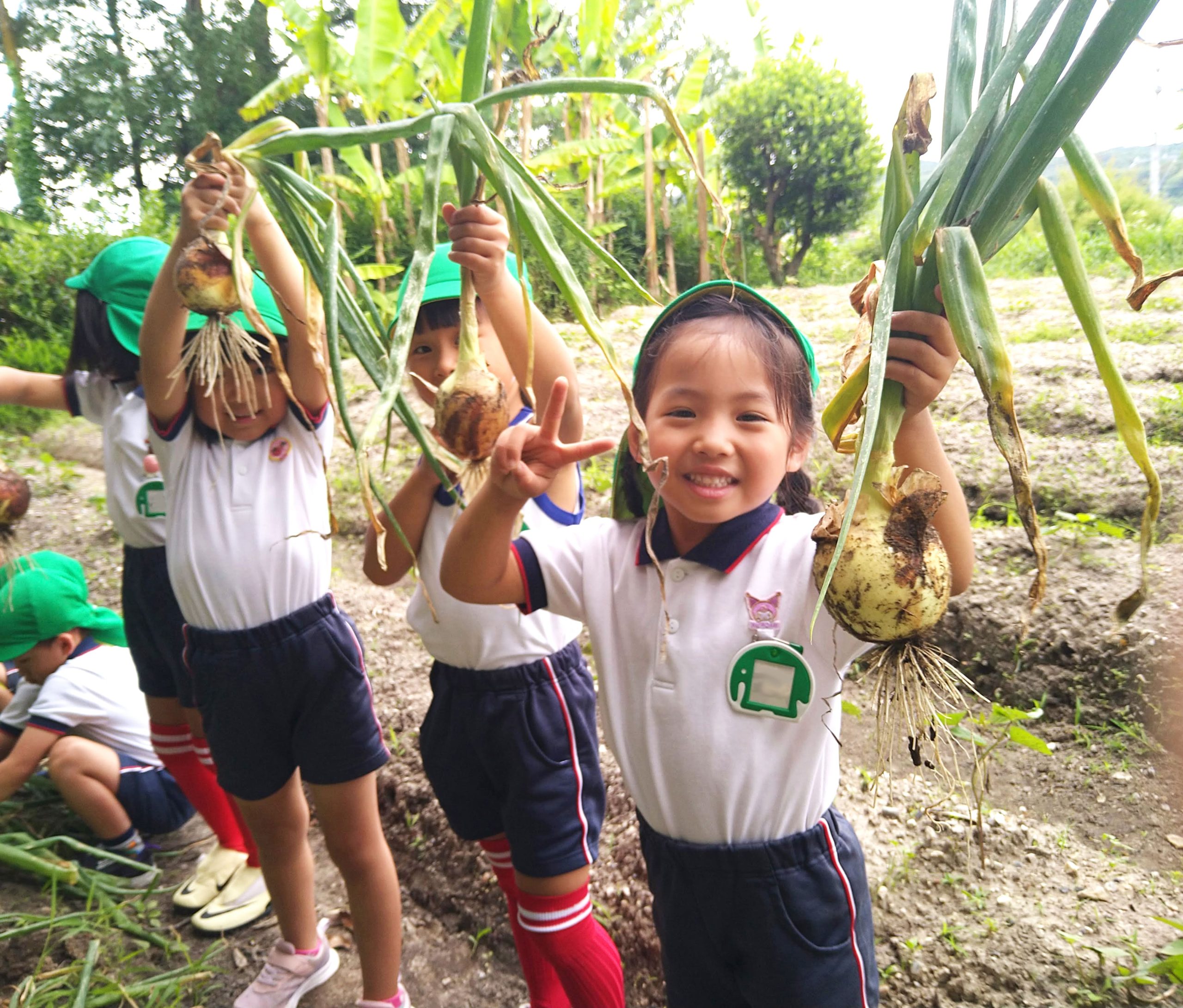 写真:園について03