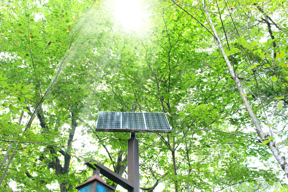 〇〇の日程について