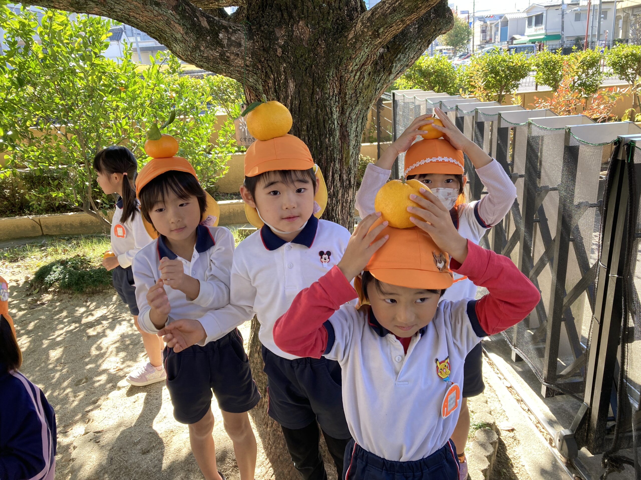 写真:園の生活01